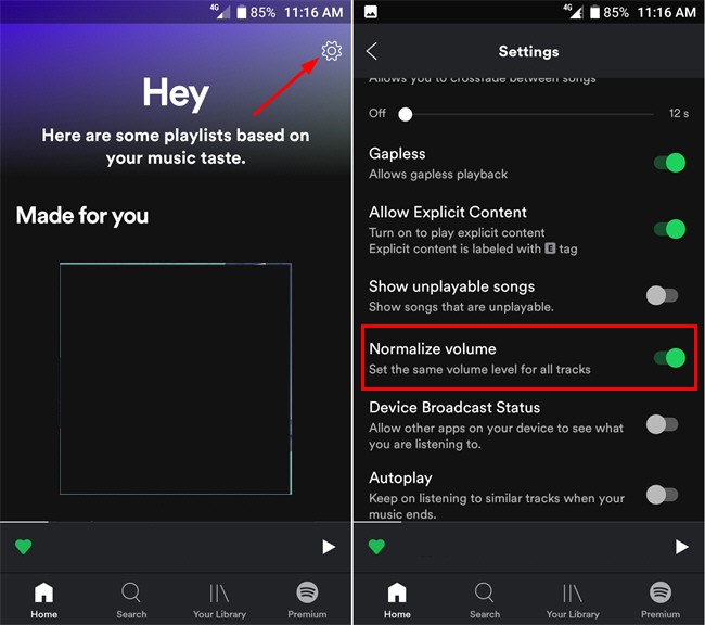 Control Spotify Volume Over App